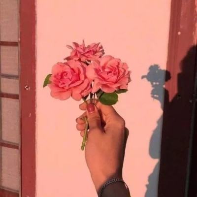 王者荣耀鸿蒙版下载